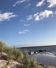 Super Hundeurlaub Bild 1