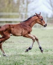 Madeleine Krüger Fotografie Bild 3