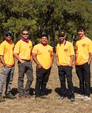 NEON Monkey Tree Services image 1