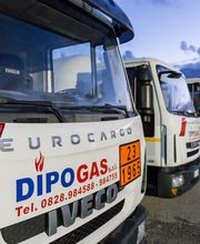 Gallery Professionale