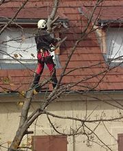 Meillonnas Paysages Elagage image 2