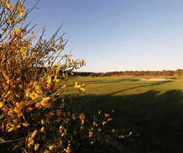 Golf De Pinsolle image 18