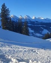 Hotel Restaurant Schönau Bild 1