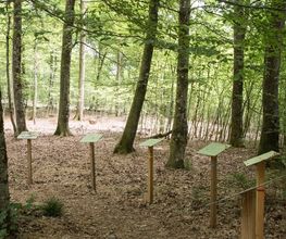 FriedWald Rümmingen Bild 7