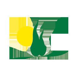 F.lli Andreini Piante logo