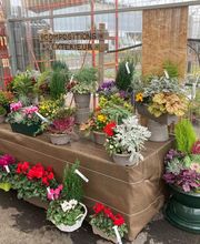 Dessapt Horticulture image 1