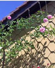 Brunner Bedachungen GmbH Bild 4