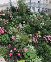 Bauert AG Parkpflege Gartenbau Bild 5