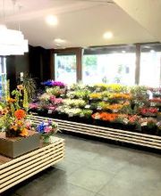 Carrément Fleurs - Fleuriste Eysines Bordeaux 33 - Livraison de fleurs à domicile image 3