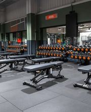 Basic-Fit imagen 2