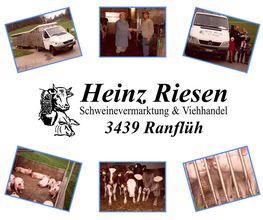 Viehhandel Riesen Bild 7