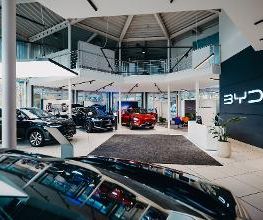 STERNAUTO Bild 5