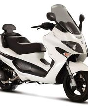 Action Scoots image 10