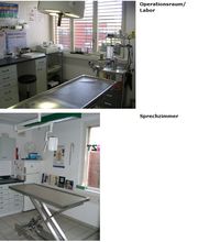 Kleintierpraxis Lindengarten Bild 4