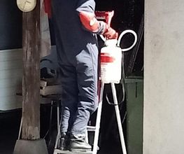 Abatguepes Services image 5
