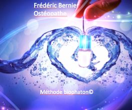 Bernier Frédéric image 3