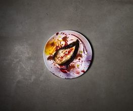 Luxus Catering - 65 Grad Catering & Events - frische, regionale Küche & Eventbetreuung in Berlin
