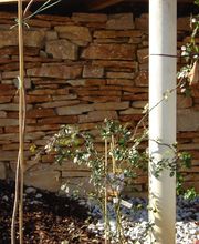 Naturstein-Pflasterarbeiten