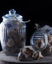 Romuald BONNAURE-FIORI image 3