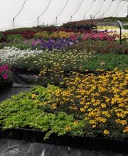 LE JARDIN DES SENS image 2