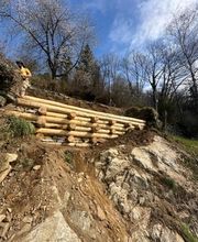 ONSFOREST Sagl Bild 7