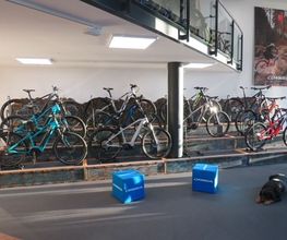 MF Bikes Bild 3