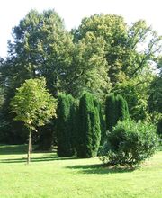 Herrenhaus Samow Bild 1