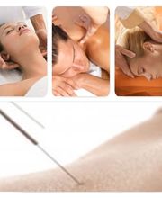 Zentrum für Natürliche Heilmethoden - ZfNH Bild 2