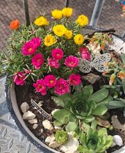 Nadines Entwicklungsraum Bild 2