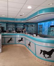 Le Longchamp image 1