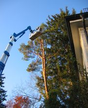 Trinkgeld GmbH Garten- & Landschaftsservice Bild 24