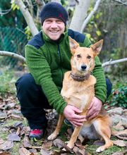 Fischer Danny Baum- und Gartenpflege Bild 1