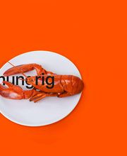 Extro.DIREKT GmbH Bild 6