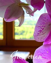 Landgasthof zur Bündte Bild 4