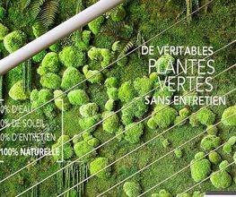 DECO-VEGETALE image 1