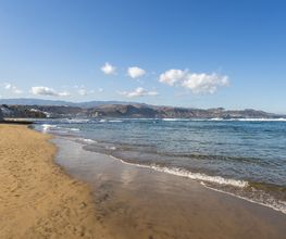 Occidental Las Canteras imagen 10