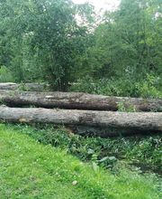 Nature Domestiquee image 11