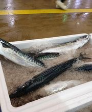 Gilles et Compagnie image 12