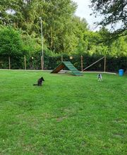 Melanie's Pfotenschule Bild 4