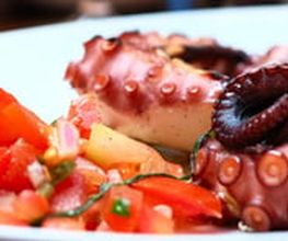 730437-pulpo.jpg