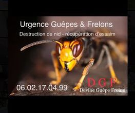 Abeille45.DGF image 12