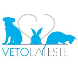 Clinique Vétérinaire De L'hippocampe