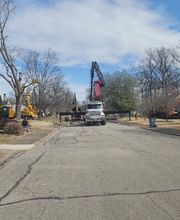 Whitledge Tree Service LLC image 7