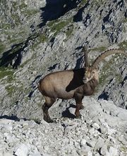 explore & elevate - Berge Bildung Beratung Bild 8