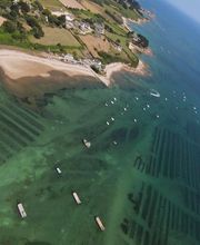 L'île Aux Huîtres SARL image 6