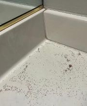 Source Pest Control image 15