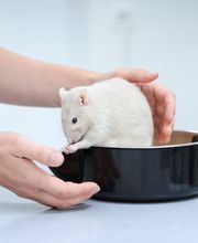 Kleintierpraxis Vivavet GmbH Bild 14