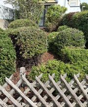 Lenhardts-Gartenpflege Bild 2