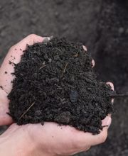 KBA Dithmarschen GmbH & Co. KG Bild 2