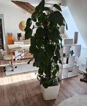 WhatsApp Image 2025-05-07 at 13.41.51 (3).jpeg